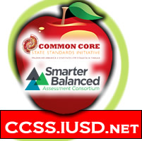 CCSS-icon